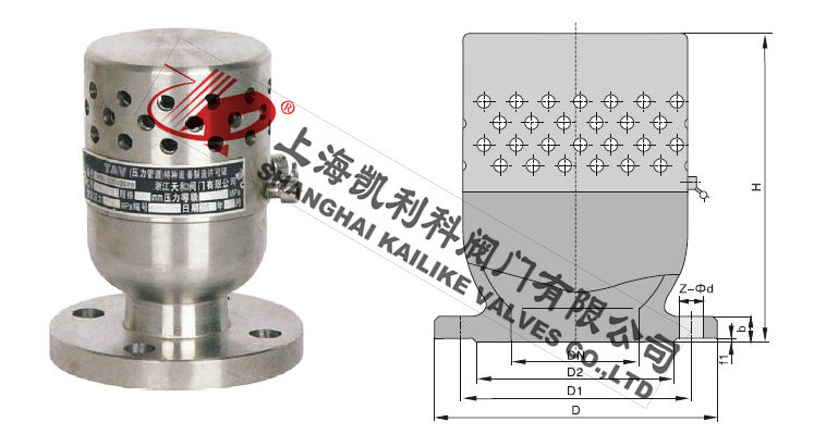 TFA72W真空負壓安全閥外形結(jié)構(gòu)圖
