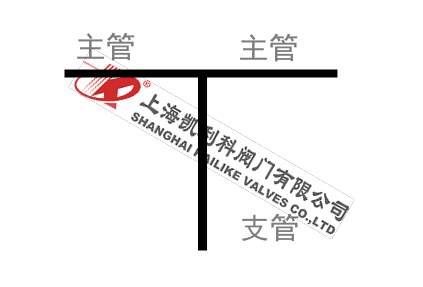 反折流式T型過濾器管路支管圖